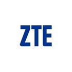 Твърд гръб за ZTE